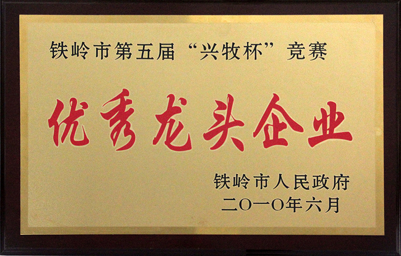 優秀龍頭企業